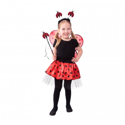 Children costume ladybug tutu skirt with wings