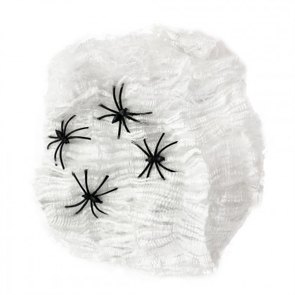 Spider web with spiders, white