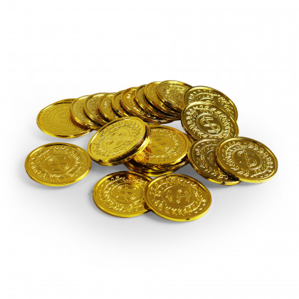 the coins in a bag