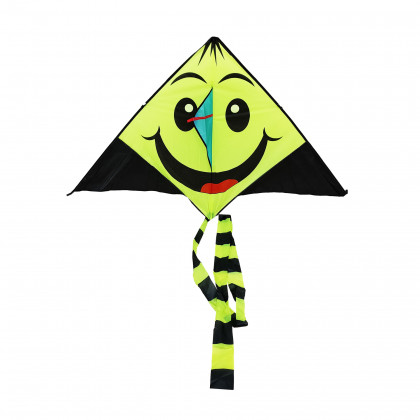 Flying kite 140 cm