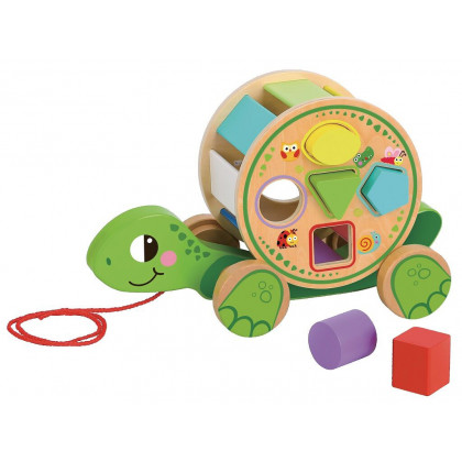 Dvěděti Pulling turtle