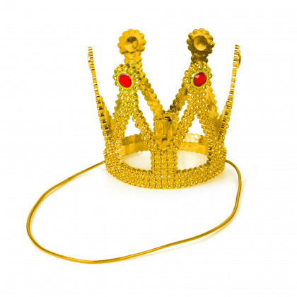 the princess crown