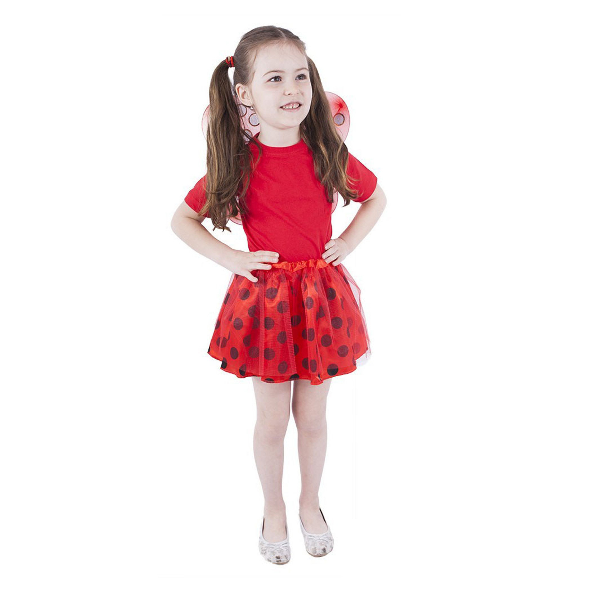 Children costume- ladybug with wings