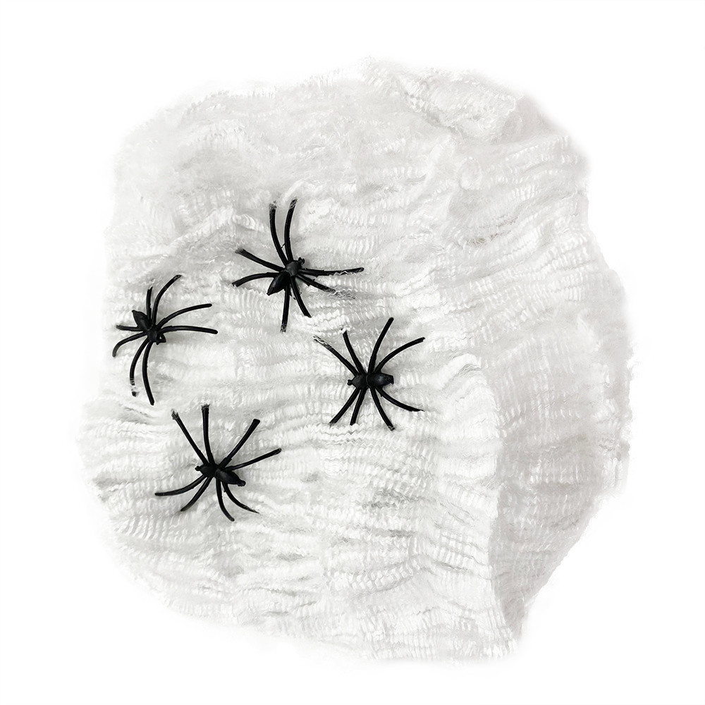 Spider web with spiders, white