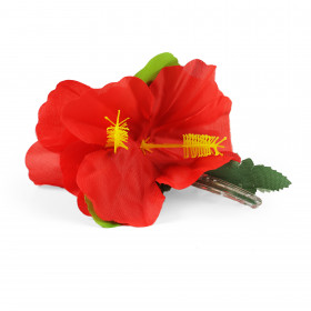 Hair clip Hawaii