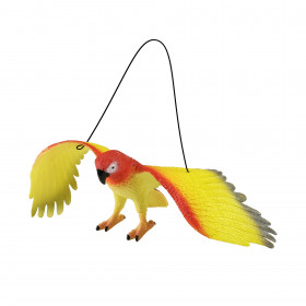 the parrots, 4 types