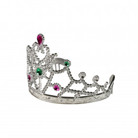 the crown for a princess
