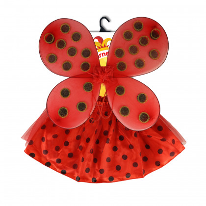 Children costume- ladybug with wings