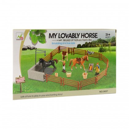 Washing area for horses