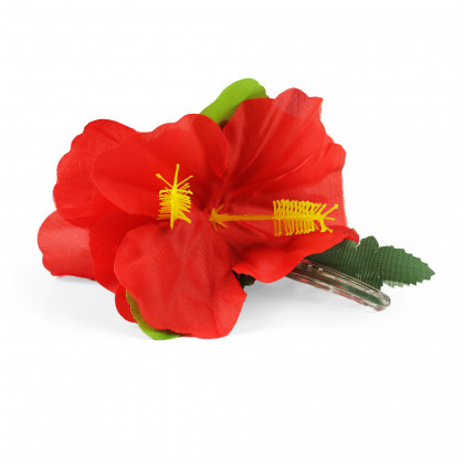 Hair clip Hawaii