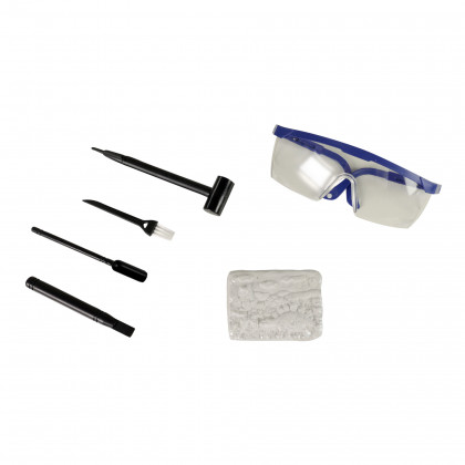 Archaeologist - dinosaur set