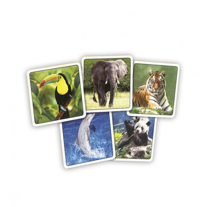 Pexeso ZOO in a box