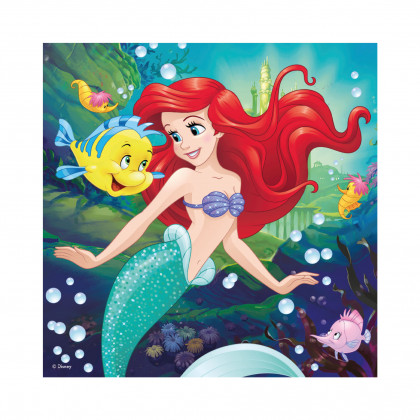 HAPPY PRINCESSES 3x55 puzzle