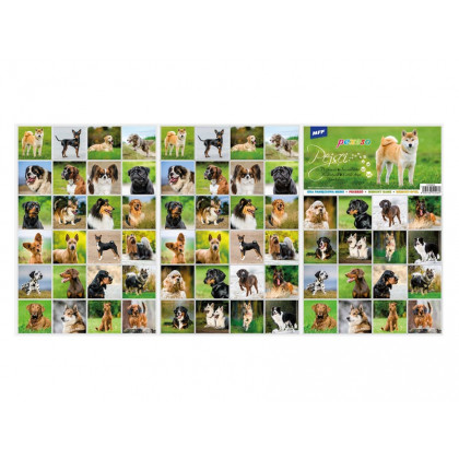 Pexeso MFP 3xA4 Dogs