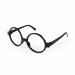 Halloween glasses Harry for adults